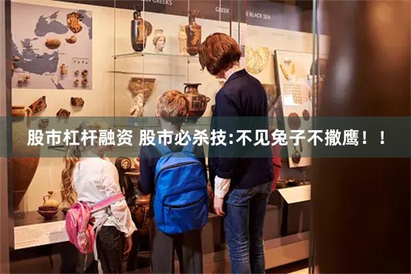 股市杠杆融资 股市必杀技:不见兔子不撒鹰!!