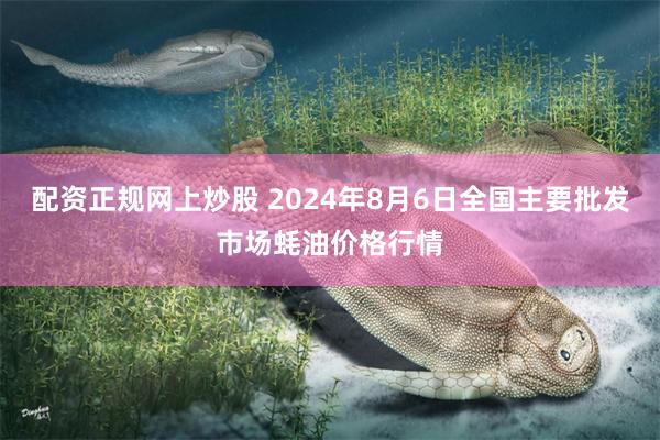 配资正规网上炒股 2024年8月6日全国主要批发市场蚝油价格行情