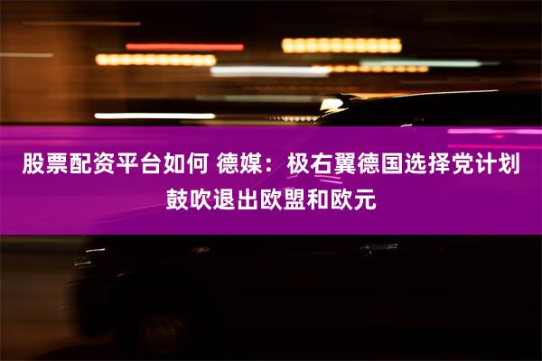 股票配资平台如何 德媒：极右翼德国选择党计划鼓吹退出欧盟和欧元