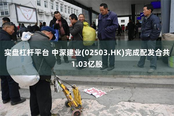 实盘杠杆平台 中深建业(02503.HK)完成配发合共1.03亿股