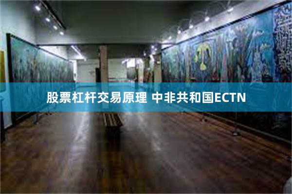 股票杠杆交易原理 中非共和国ECTN