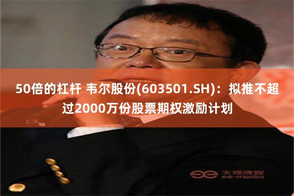 50倍的杠杆 韦尔股份(603501.SH)：拟推不超过2000万份股票期权激励计划