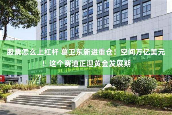 股票怎么上杠杆 葛卫东新进重仓！空间万亿美元！这个赛道正迎黄金发展期
