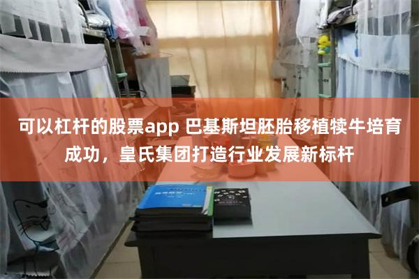 可以杠杆的股票app 巴基斯坦胚胎移植犊牛培育成功，皇氏集团打造行业发展新标杆